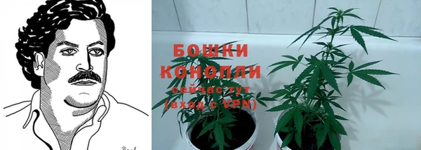 скорость Богданович