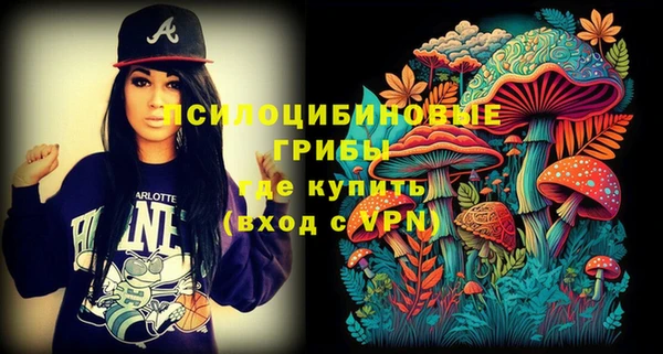 дмт Богородск