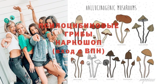 скорость Богданович