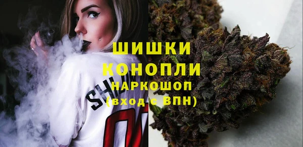 дмт Богородск