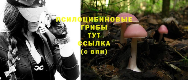 MESCALINE Богородицк