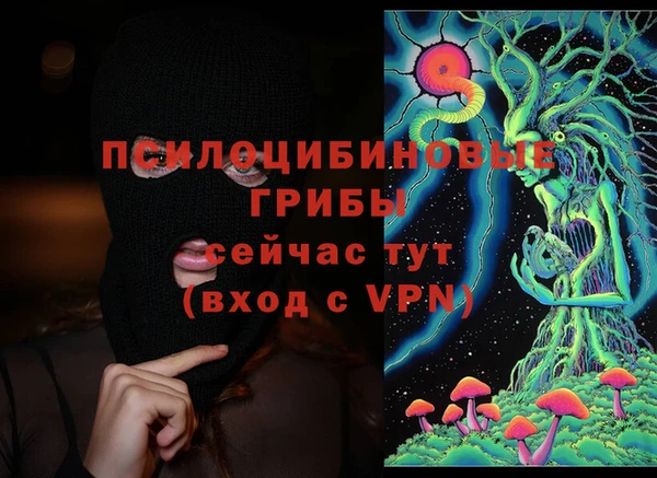 скорость Богданович