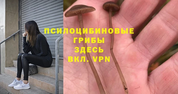 скорость mdpv Белокуриха