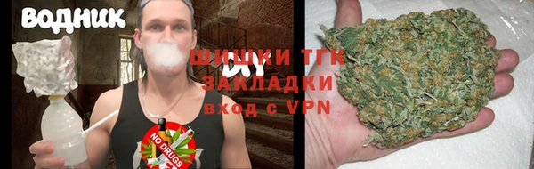 индика Белоозёрский